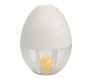 Egg Scrambler